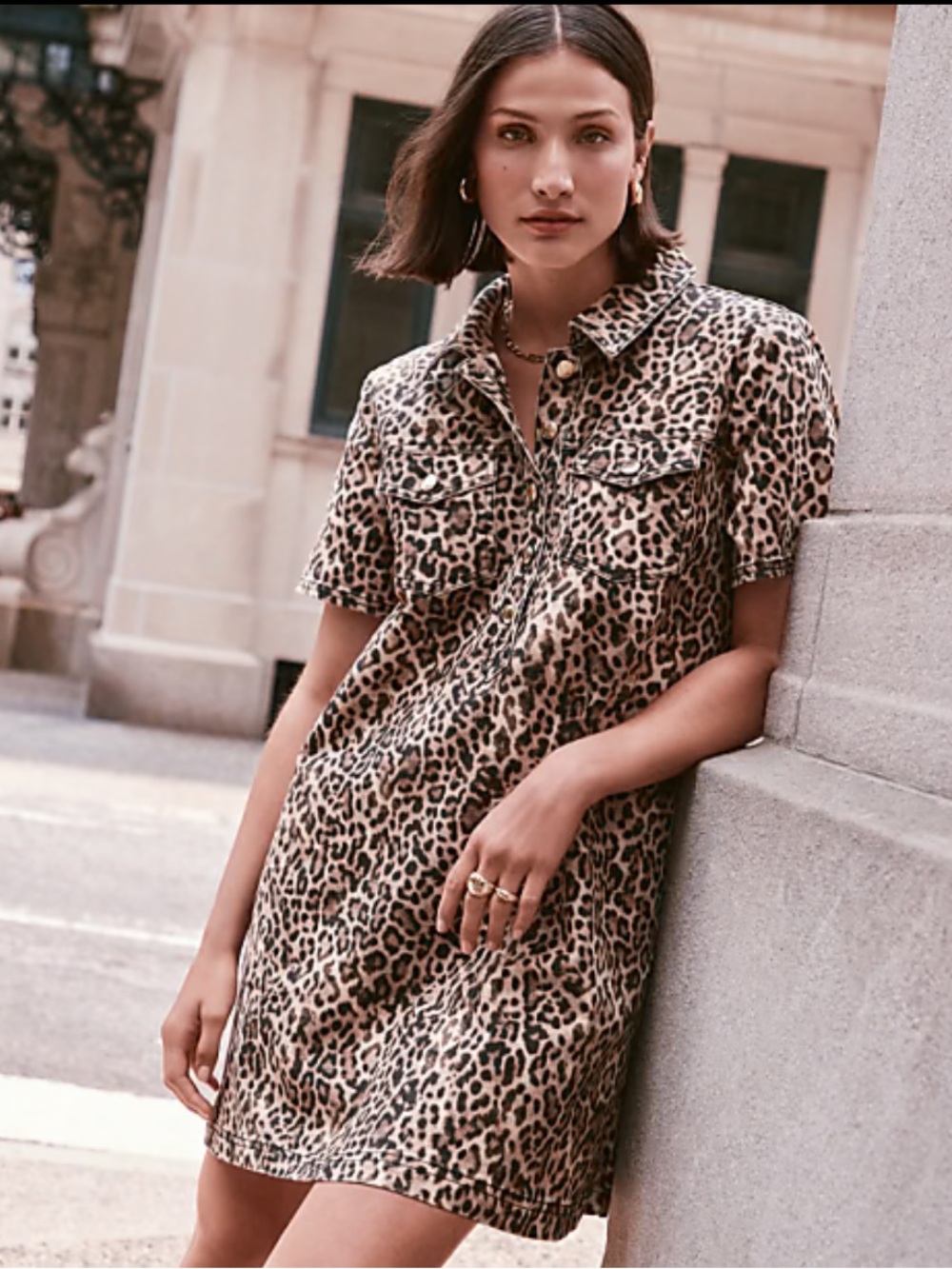 LOFT Women’s Tan Brown Cream Popcorn Leopard Print Mini Pocket Dress Size L NWT